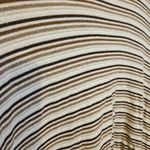 Studio Works  Size Extra Large XL Striped Stripes Brown White Cotton Mock Neck Photo 1