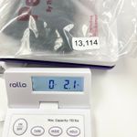 Period. The Swim Junior Bikini Bottom Black Small Period Underwear Swimwear NWT‎ Size undefined Photo 7