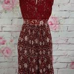 Anthropologie Plenty  Women's Arcadia Accordion Pleated Laced Midi Dress Brown Si Photo 0