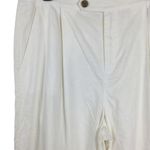 Gap Wide Leg Pleated Linen Blend Trousers Nwot Photo 7