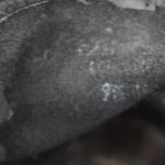 Vintage Rev Gear Black Leather Ankle Harness Motorcycle Boots 9.5M Size 9.5 Photo 5