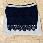 Endless Rose Skirt Photo 0