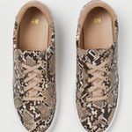 H&M Snake Print Sneakers Photo 5