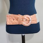 Salmon Pink and Metallic Silver Wide Stretch Belt Photo 0