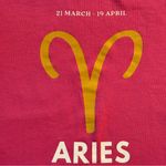 Anthropologie ‎ Aries Zodiac Pink Pullover Astrology Birth Sign Sweatshirt Size M Photo 2