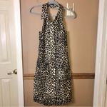 Tamara Mellon Silk‎ Blend Button Front Backless Halter Dress Leopard Print Black Size 8 Photo 3