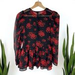 ZARA Rose Floral Semi-Sheer Chiffon Puff Sleeve Peplum Blouse Photo 4