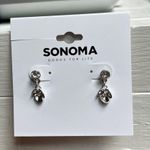Sonoma Silver Earrings Photo 4