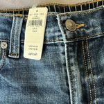 Aerie  Blue Distressed Jean Shorts Photo 1