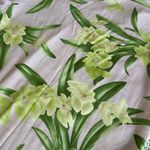 Tommy Bahama  Silk Fitted Short Sleeve T-Shirt Photo 8