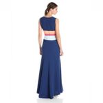 BCBGMAXAZRIA  Lizette Maxi Dress Womens 4 Blue Colorblock Sleeveless Event Formal Photo 1