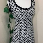 Alberto Makali Lace Polka Dot Flare Dress Photo 4