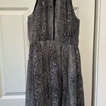 Molly Bracken  Black and Gray Backless Dress Photo 0