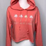 Aeropostale Live Love Dream Meet Me At Sunset Crop Hoodie Photo 3
