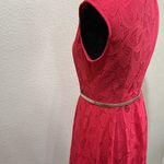 Hot Pink Lace Midi Dress Size 6 Photo 5