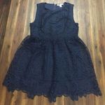 Miami Francesca’s  Navy Blue Sleeveless Dress Photo 0