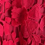 Trina Turk  Rowen Crochet-Lace Dress Photo 8