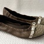 AGL Brown Taupe Snake Textured Cap Toe Ballet Flat Pewter Metallic Buckle 40 Size 9 Photo 1