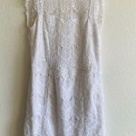 Free People NWT  White Lace High Neck Backless Mini Dress - Medium Photo 0