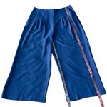 Ted Baker Zettah Pleaded Culotte Cropped Wide Leg Trousers Size 4/US 10 Photo 3