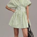 Anthropologie The Rhea Mini Shirt Dress by Exquise Large Green Bone Stripe Sz S Photo 0