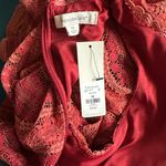 Francesca’s Collections Rust Floral Lace Fit and Flare Dress NWT XS Autumn Fall Photo 7