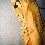 J.Crew  Mustard Yellow Square Neckline Top W/ Pom Sleeve Detail Photo 4