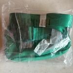 Lululemon NIP  RARE Emerald Ice Belt Bag Photo 1