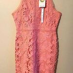 She & Sky  NWT Pink Lace design dress Sz Large Photo 0
