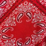 Topshop  Red Floral Paisley Bandana Print Short Sleeve Button Down Blouse Size 4 Photo 2