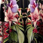 Ted Baker  Multicolor 'Sew in Love' Floral Print Knee-Length
Skirt sz 2 (USA 2-4) Photo 6