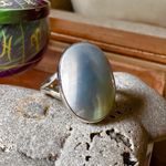 Natural Nautilus Sea Shell Sterling Silver Ring Size 10.5 Photo 5