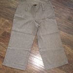 Studio Y  Dressy Capri Pants Size 3/4 Photo 0