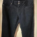 Brandy Melville JCP navy corduroy pants Photo 0