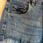BLANK NYC Wedge Button Fly Raw Hem High Rise Denim Shorts Photo 4