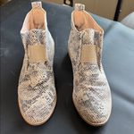 Ccocci  Snakeskin Ankle Booties in Black and Cream Photo 1