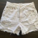 American Eagle  Boyfriend 90s Shorts Photo 0