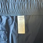 ZYIA Active Peak Ankle Jogger Pants Gold Zipper Womens Athletic XL Blue Photo 4