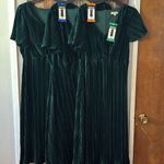 Briggs New York Briggs Ladies Pleated Velvet Dress NWT Photo 0