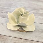 Vintage Jeri Photo 5