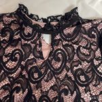 Perceptions NWT PerSeption Concept Lace Sleeveless Top            Sz S Photo 1