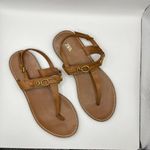 ZARA  FLAT LEATHER SANDAL WITH BUCKLE BROWN WOMENS SIZE 38‎ US SIZE 7 Photo 2