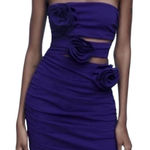 ZARA  Strapless Purple/Blue Dress(Size Large) Photo 0
