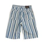EXPRESS Vintage 90s High Rise Mom Blue Striped Knee Length Shorts Size 9/10 Photo 1