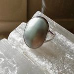 Natural Nautilus Sea Shell Sterling Silver Ring Size 10.5 Photo 10