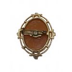 Vintage Cameo Brooch Classic Elegance with a Twist Brown Photo 2
