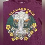 Yellow Stone National Park Maroon T shirt🫧 Purple Size M Photo 1