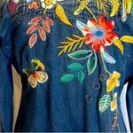 Johnny Was heavily embroidered Savannah frayed western top NWT (oversized) RARE Photo 4