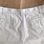 The Limited  Chino shorts 5 inch inseam Photo 5