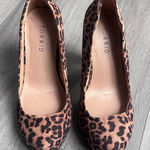 Torrid  Animal Print Heels size 6WW Photo 0